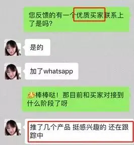 WhatsApp web_外贸whatsapp使用技巧_whatsapp海外沟通工具