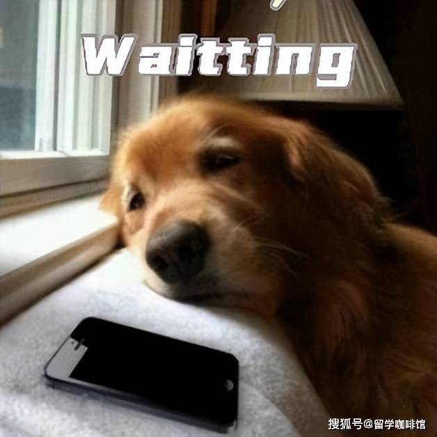 留学生的手机里都藏着哪些宝藏APP？