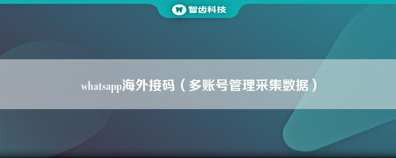 whatsapp海外接码（多账号管理采集数据）