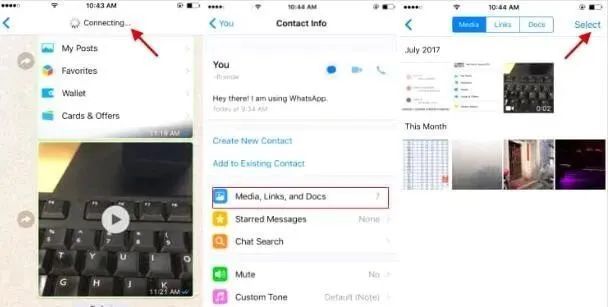 建议收藏丨使用WhatsApp必须知道的38个小技巧