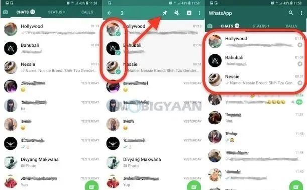 建议收藏丨使用WhatsApp必须知道的38个小技巧