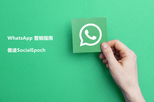 社交媒体营销 |如何利用WhatsApp进行营销