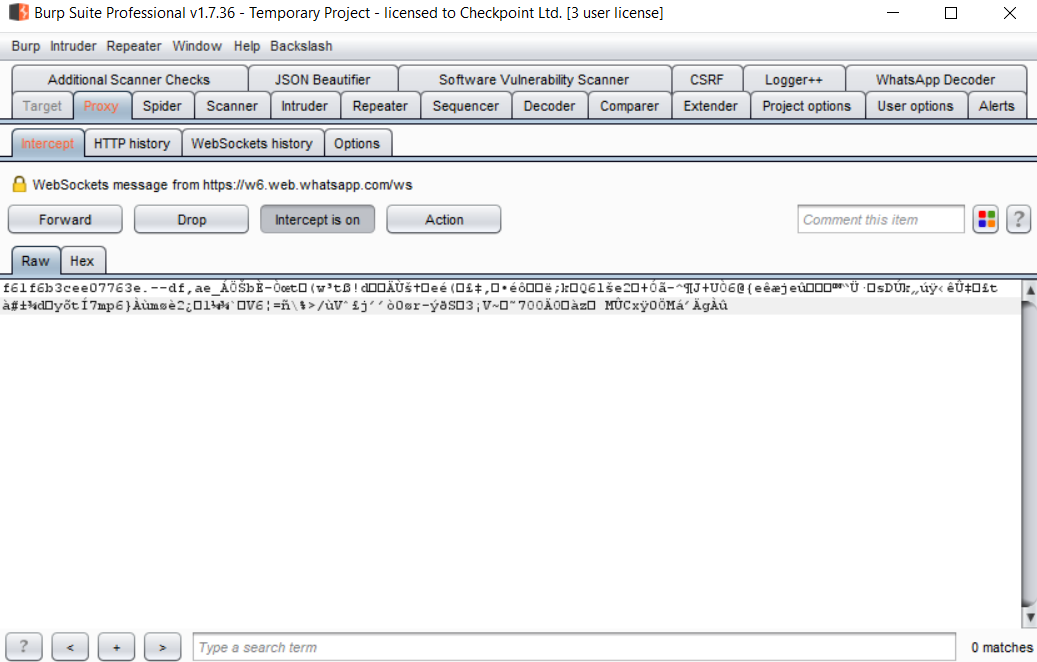 WhatsApp web_check point whatsapp research_whatsapp security vulnerability