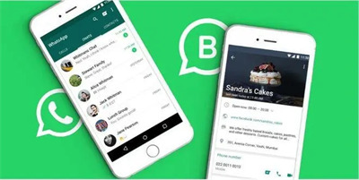 app是WhatsApp的商家版本，旨在帮助中小型企业更好地