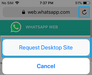 如何在iPad上使用WhatsApp（2023使用方法）