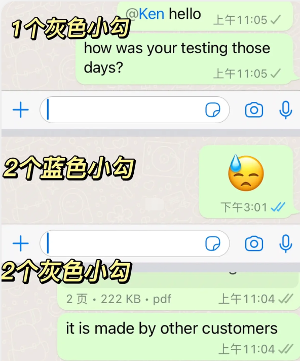 whatsapp中文版2025