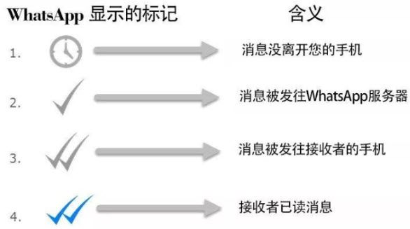 whatsapp官网手机app