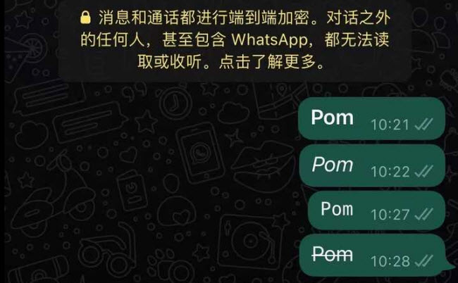 whatsapp官网手机app