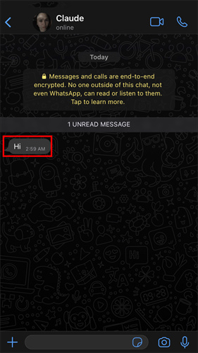 whatsapp免费下载手机版