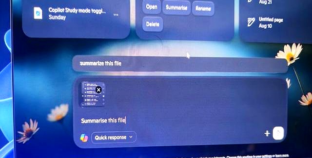 微软Win11版Copilot应用新增“主页”：新入口可分析文件