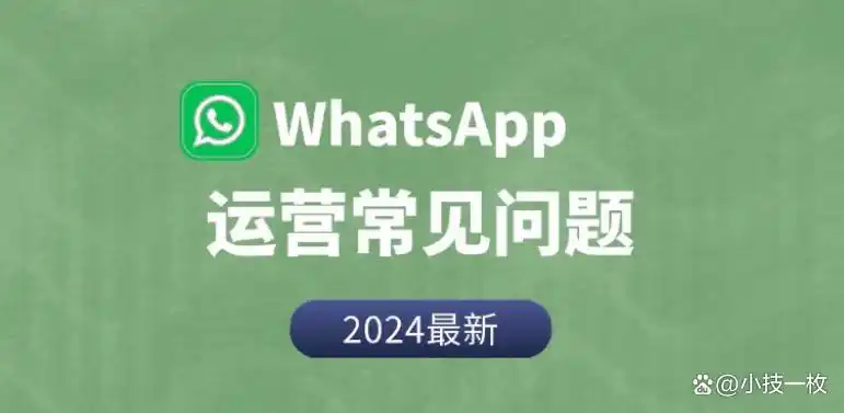 WhatsApp私域营销策略_如何设置WhatsApp自动回复_WhatsApp web