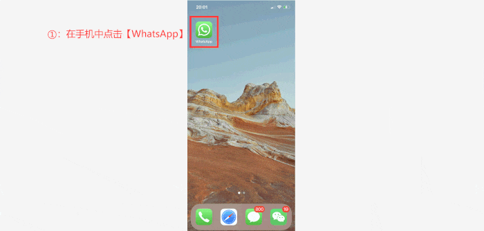 如何备份whatsapp聊天记录到电脑？三个终极解决方案
