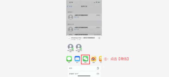 如何备份whatsapp聊天记录到电脑？三个终极解决方案