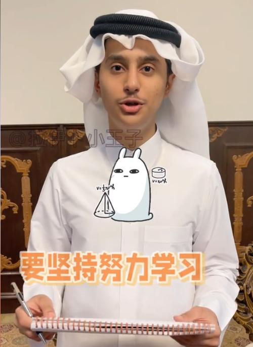 从“顶流”变成风暴中心，卡塔尔“馄饨皮小王子”的互联网历险记
