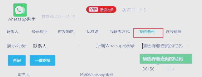 使用WhatsApp网页版时遇到的问题及解决方案全解析