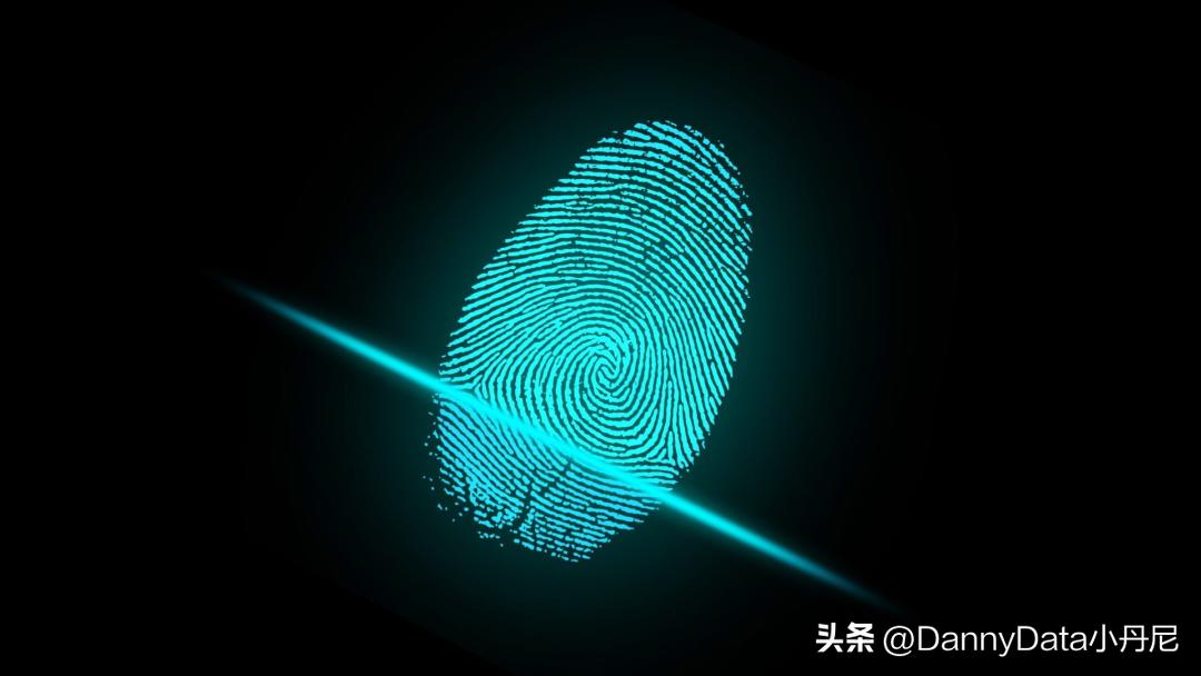 Web 3.0 真风口还是大忽悠？「大小马聊科技24」