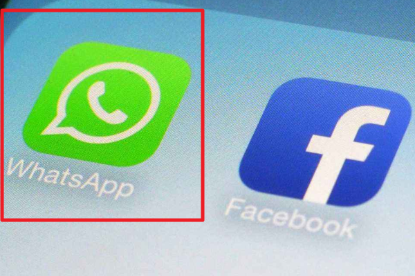 whatsapp是什么意思？