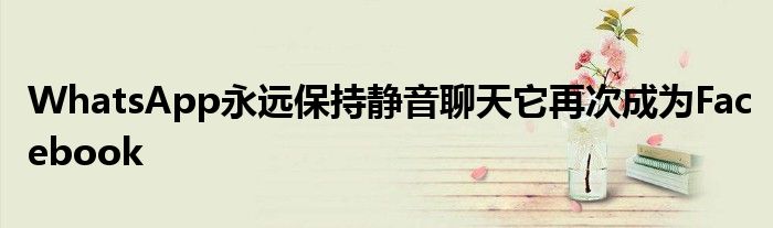 WhatsApp永远保持静音聊天它再次成为Facebook